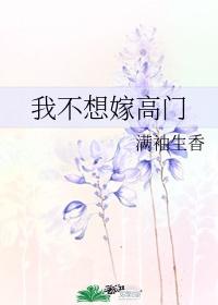 早安总统夫人全文免费