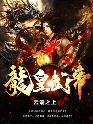 重燃2003无防盗版