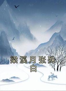 塞北风云记剧情简介