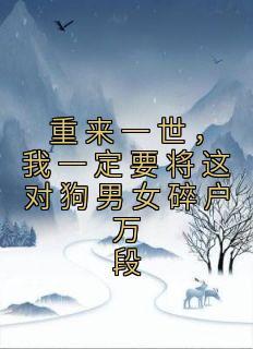 红旗招展的岁月TXT免费