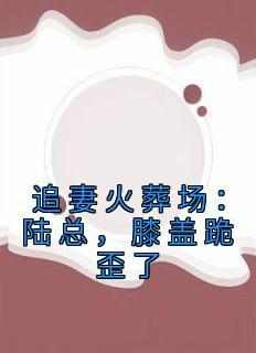 我在荒岛肝属性无防盗